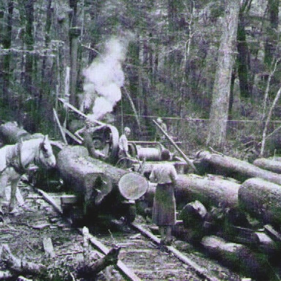 Milling timber at lake Sylvan